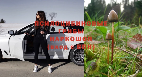 spice Арсеньев